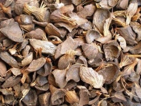 Palm Kernel Shell (Industrial Use – 50kg Bag)