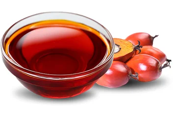 palm-olien-oil-1